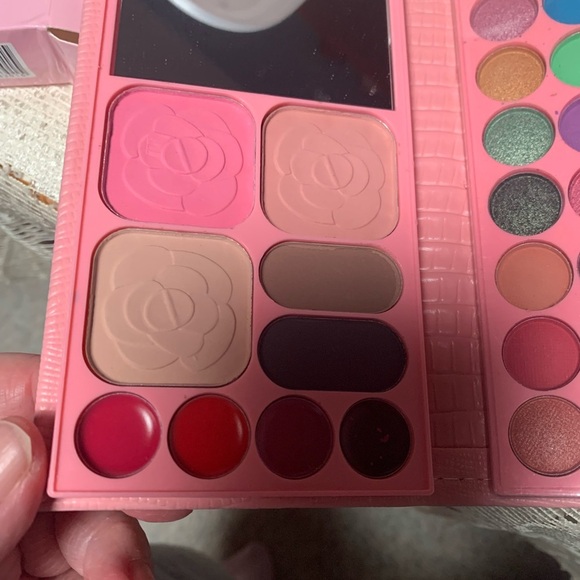 Blush and Highl and Lipless and Eyeshadow Pallet - Picture 4 of 8